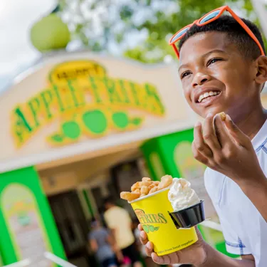 Granny Apple Fries at LEGOLAND New York
