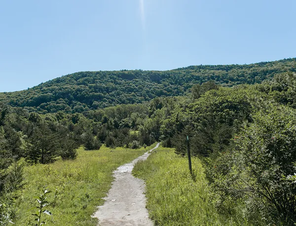 Wawayanda State Park