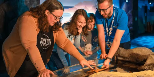 A family enjoys a Magical Day Out at Sea Life London